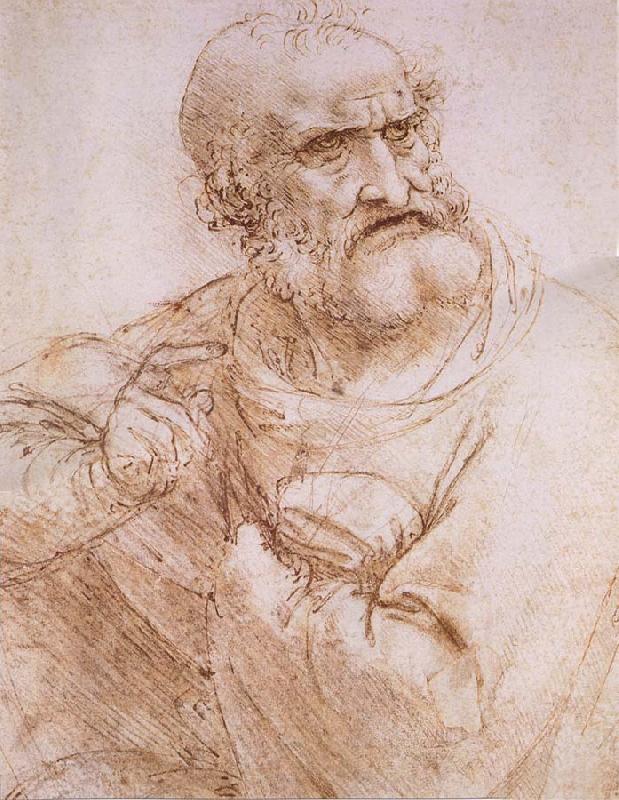 LEONARDO da Vinci Study of an apostle Norge oil painting art